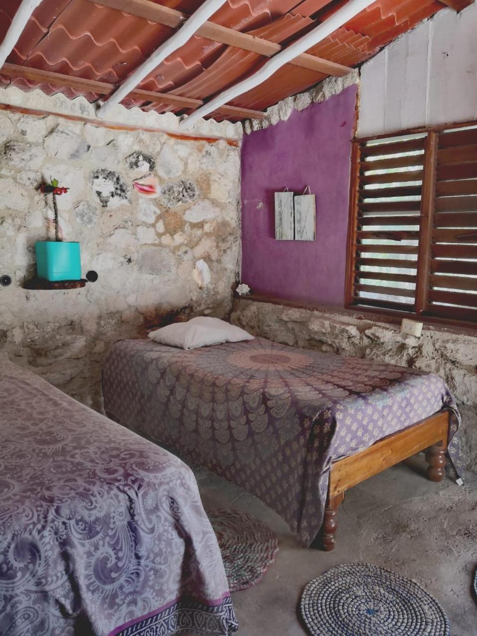 Lunazul Eco-Cabana Frente Al Mar มาอาอวล ภายนอก รูปภาพ
