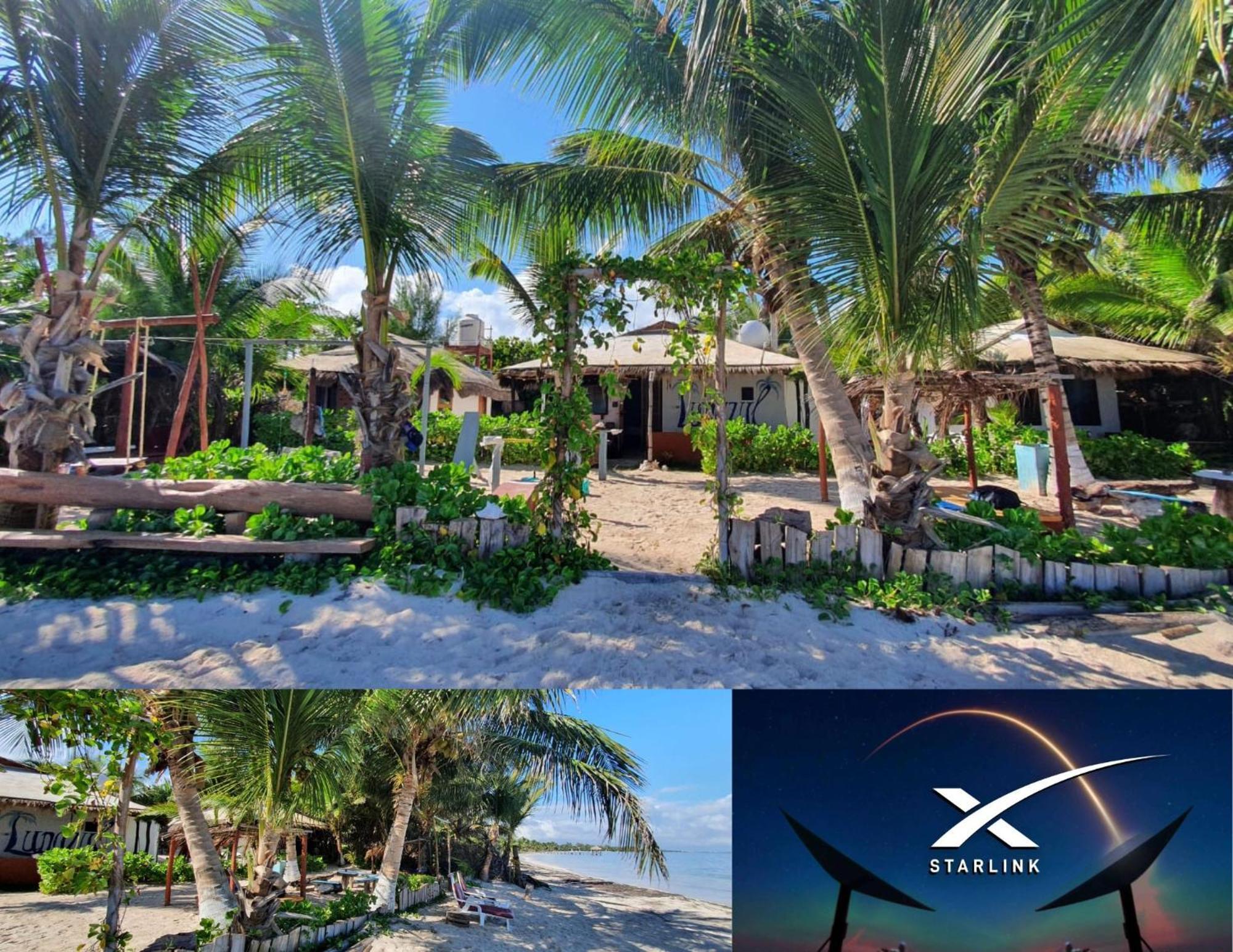 Lunazul Eco-Cabana Frente Al Mar มาอาอวล ภายนอก รูปภาพ