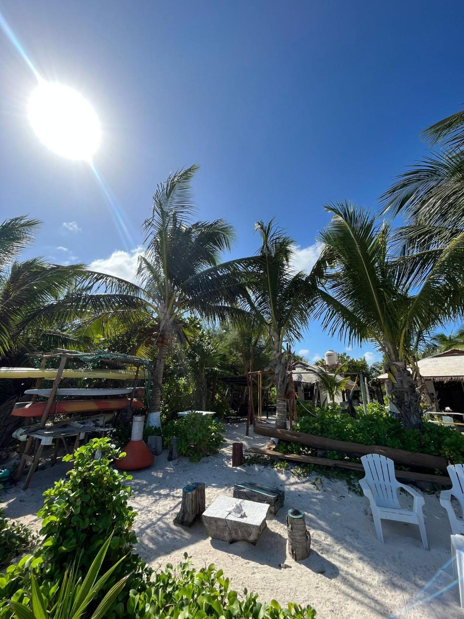 Lunazul Eco-Cabana Frente Al Mar มาอาอวล ภายนอก รูปภาพ