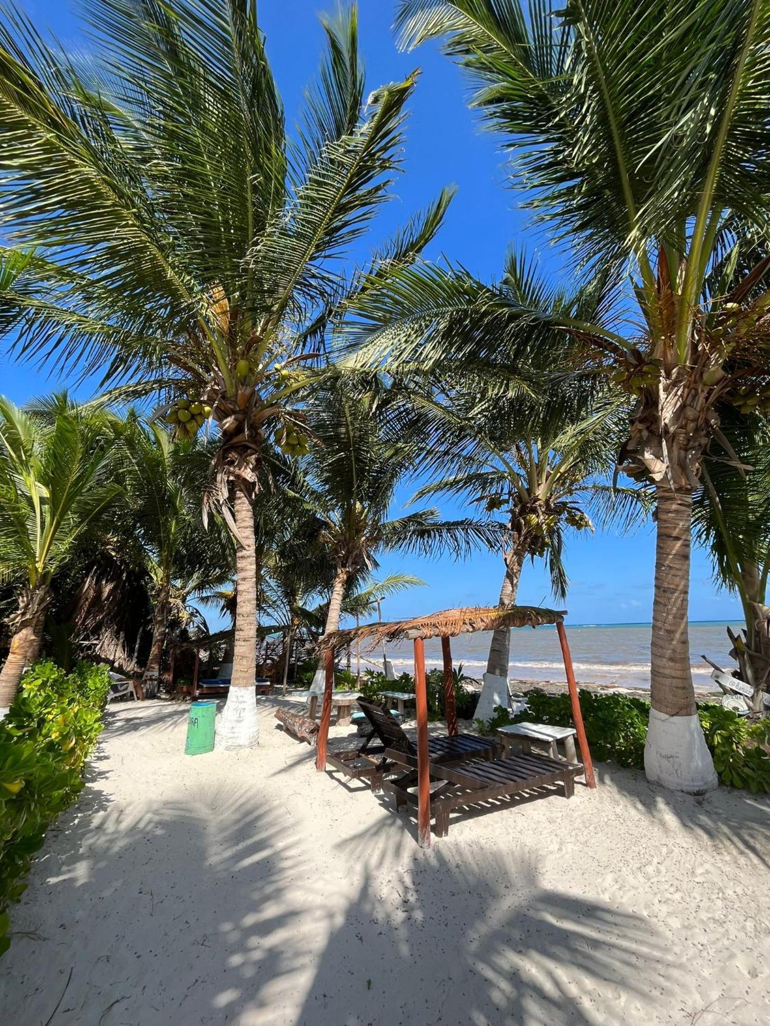 Lunazul Eco-Cabana Frente Al Mar มาอาอวล ภายนอก รูปภาพ