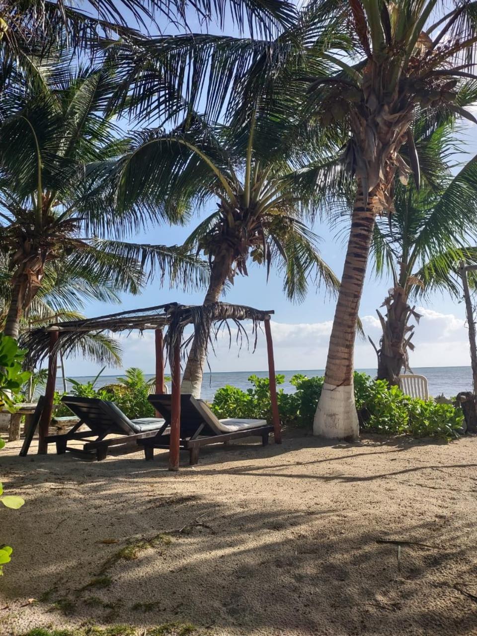 Lunazul Eco-Cabana Frente Al Mar มาอาอวล ภายนอก รูปภาพ