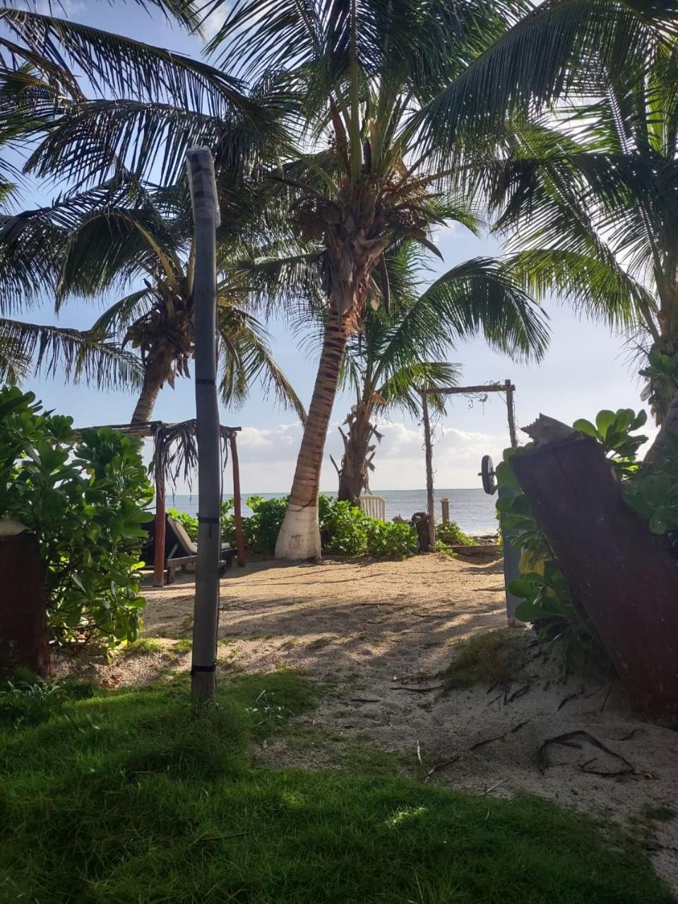 Lunazul Eco-Cabana Frente Al Mar มาอาอวล ภายนอก รูปภาพ