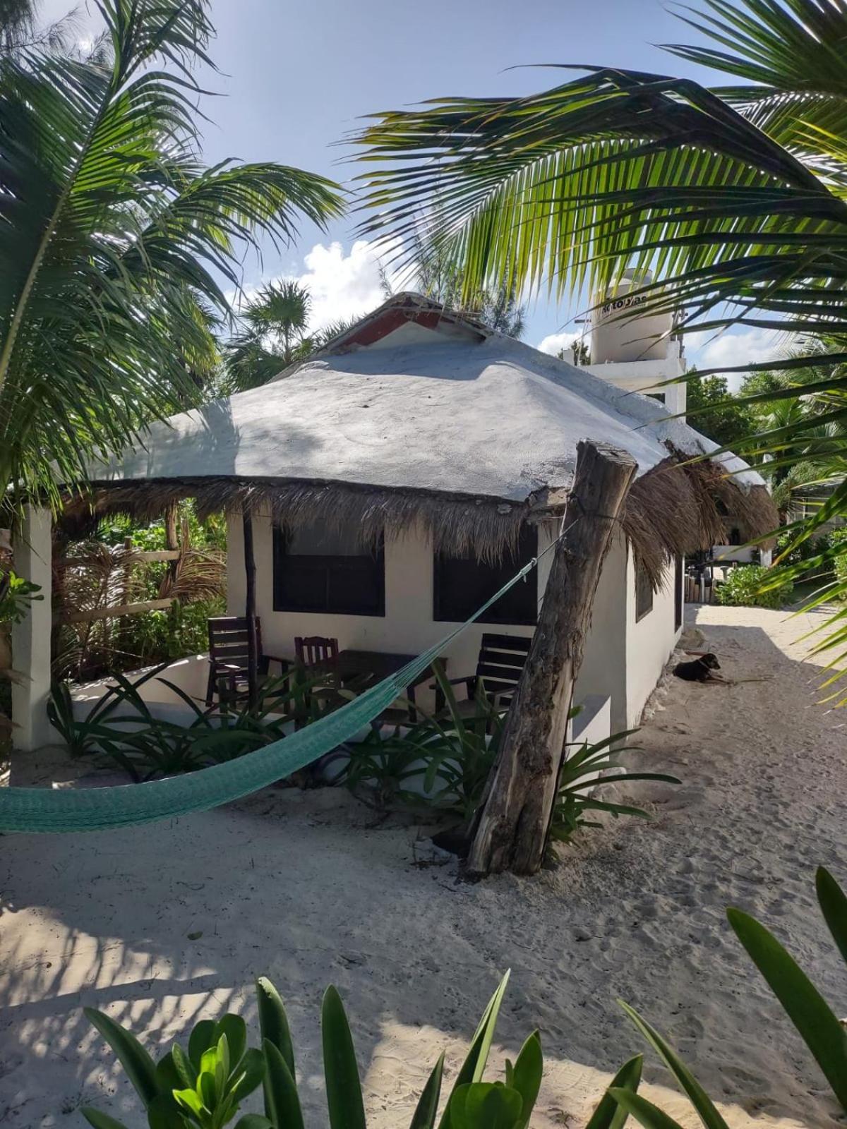 Lunazul Eco-Cabana Frente Al Mar มาอาอวล ภายนอก รูปภาพ