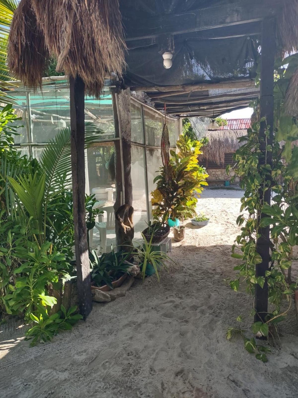 Lunazul Eco-Cabana Frente Al Mar มาอาอวล ภายนอก รูปภาพ